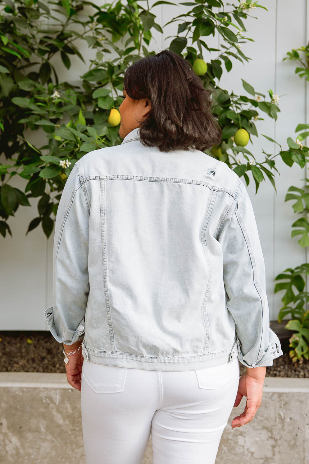 VP Denim Dreams Jacket