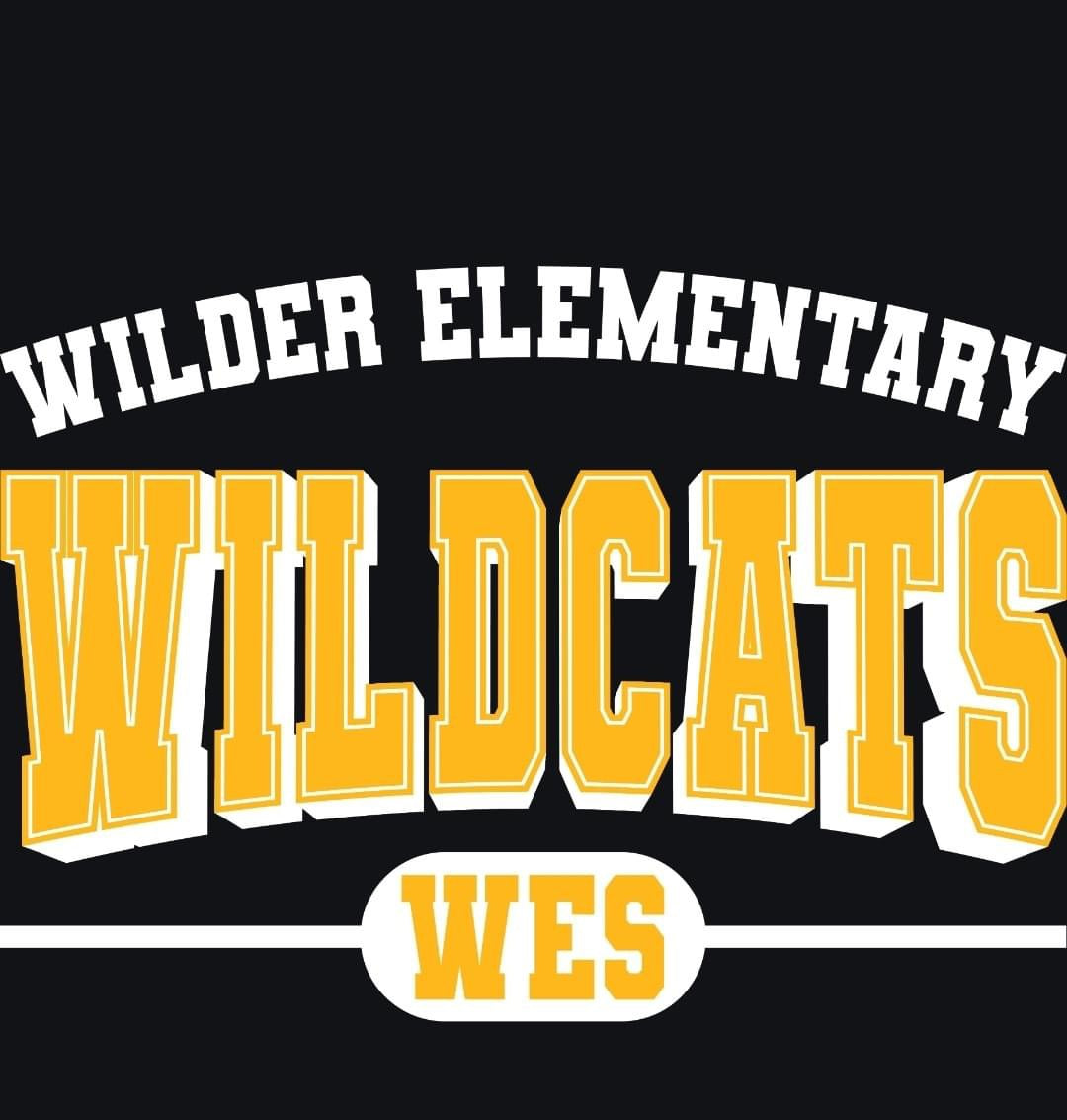 CUSTOM HS Mascot Shirt/Sweatshirt