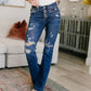 Gabriella Distressed Button Fly Flare