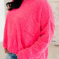 Birds of a Feather Pullover Sweater