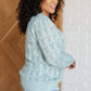 Hole In One Sheer Pointelle Knit Sweater