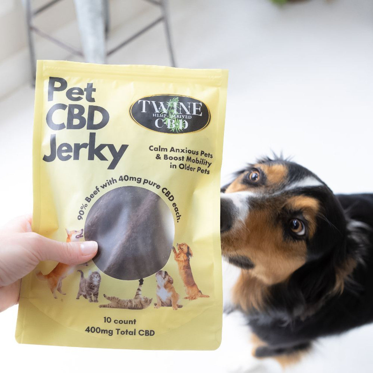 PREORDER: Twine Pet Jerky