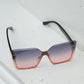 Hey There, Hollywood Sunnies