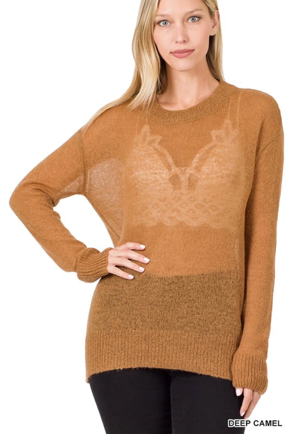 Long Sleeve Sheer Wool Sweater