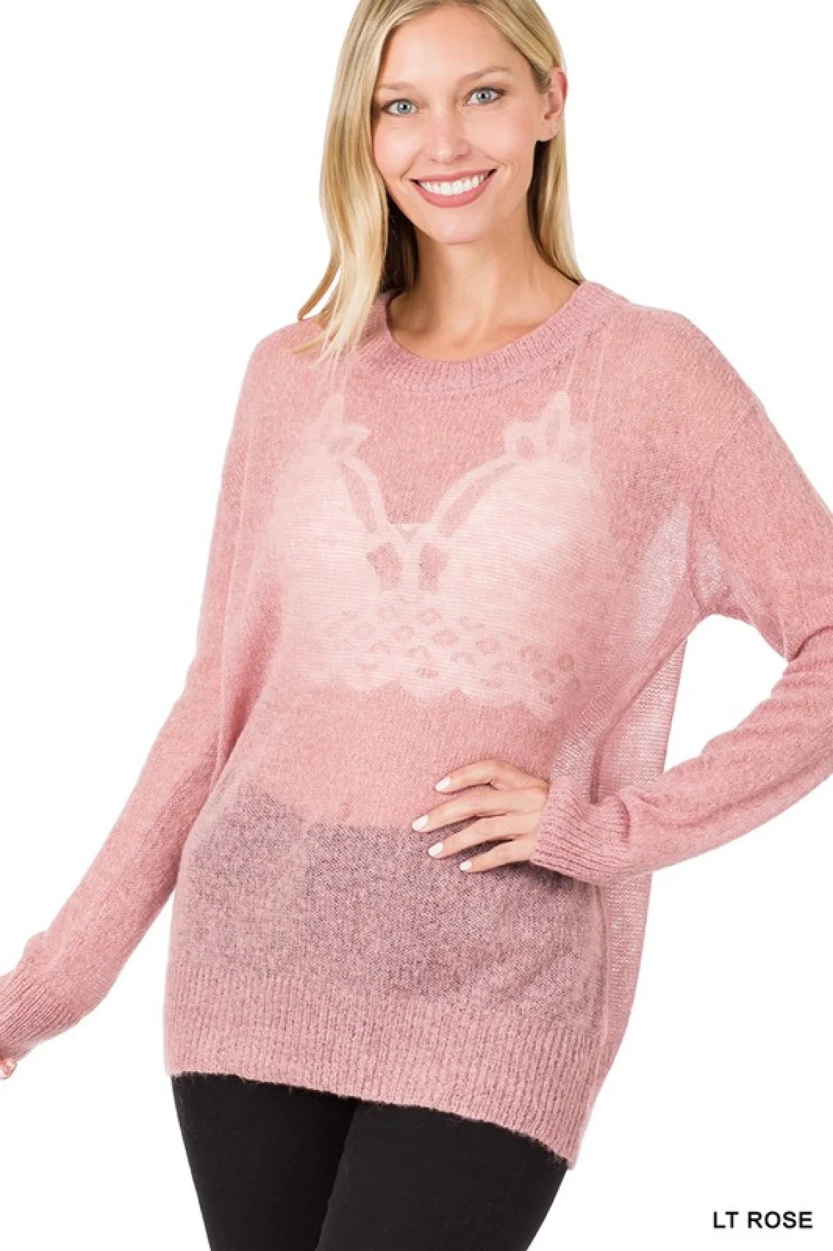 Long Sleeve Sheer Wool Sweater