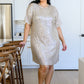 Alexandria Short Sleeve Sequin Dress In Taupe