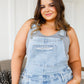 Judy Blue Distressed Straight Leg Overalls