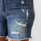 Beach Splash Shorts