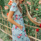 Clair Dress in Blue