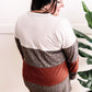 V Neck Long Sleeve Color Block Top In Rust & Neutral Leopard 11.22