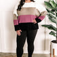 Ivory, Mocha, Berry, & Black Cozy Color Block Sweater