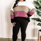 Ivory, Mocha, Berry, & Black Cozy Color Block Sweater