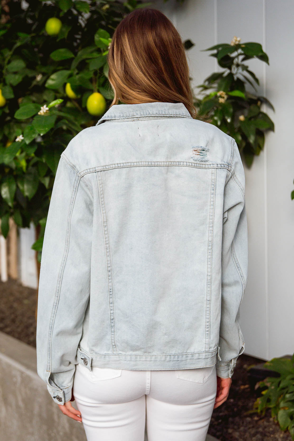 VP Denim Dreams Jacket