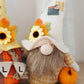 Fall Banner Gnomes Set of 2