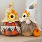 Fall Banner Gnomes Set of 2