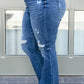 Gabriella Distressed Button Fly Flare