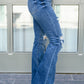 Gabriella Distressed Button Fly Flare