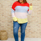 Hi-Rise Rainbow Embroidery Cropped Straight Leg Jeans