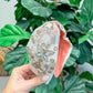 PREORDER: Pink Floral & Butterfly Embroidered Rhinestone Headband