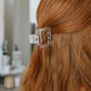 Iridescent Claw Clip 2 Pack