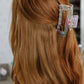 Iridescent Claw Clip 2 Pack