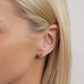 PREORDER: Moselle Stud