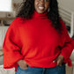 Not Too Desperate Turtleneck Sweater