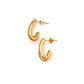 Pushing Limits Gold Plated Earrings
