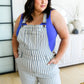Railroad Stripe Overalls