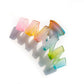 Rainbow Jelly Claw Clip Set of 4