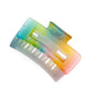 Rainbow Jelly Claw Clip Set of 4