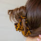 Rectangle Claw Clip in Tortoise