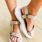Sidewalk Strappy Sports Sandals