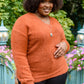 Sierra Long Sleeve Eyelash Sweater Knit Top In Rust