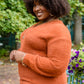 Sierra Long Sleeve Eyelash Sweater Knit Top In Rust
