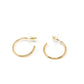 PREORDER: Everyday Earrings The Gold Set