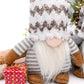 Snowed In Gnomes Set of 2