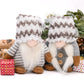 Snowed In Gnomes Set of 2