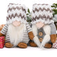Snowed In Gnomes Set of 2