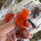 Winosaurs Gummy Candy (Contains ALCOHOL!)