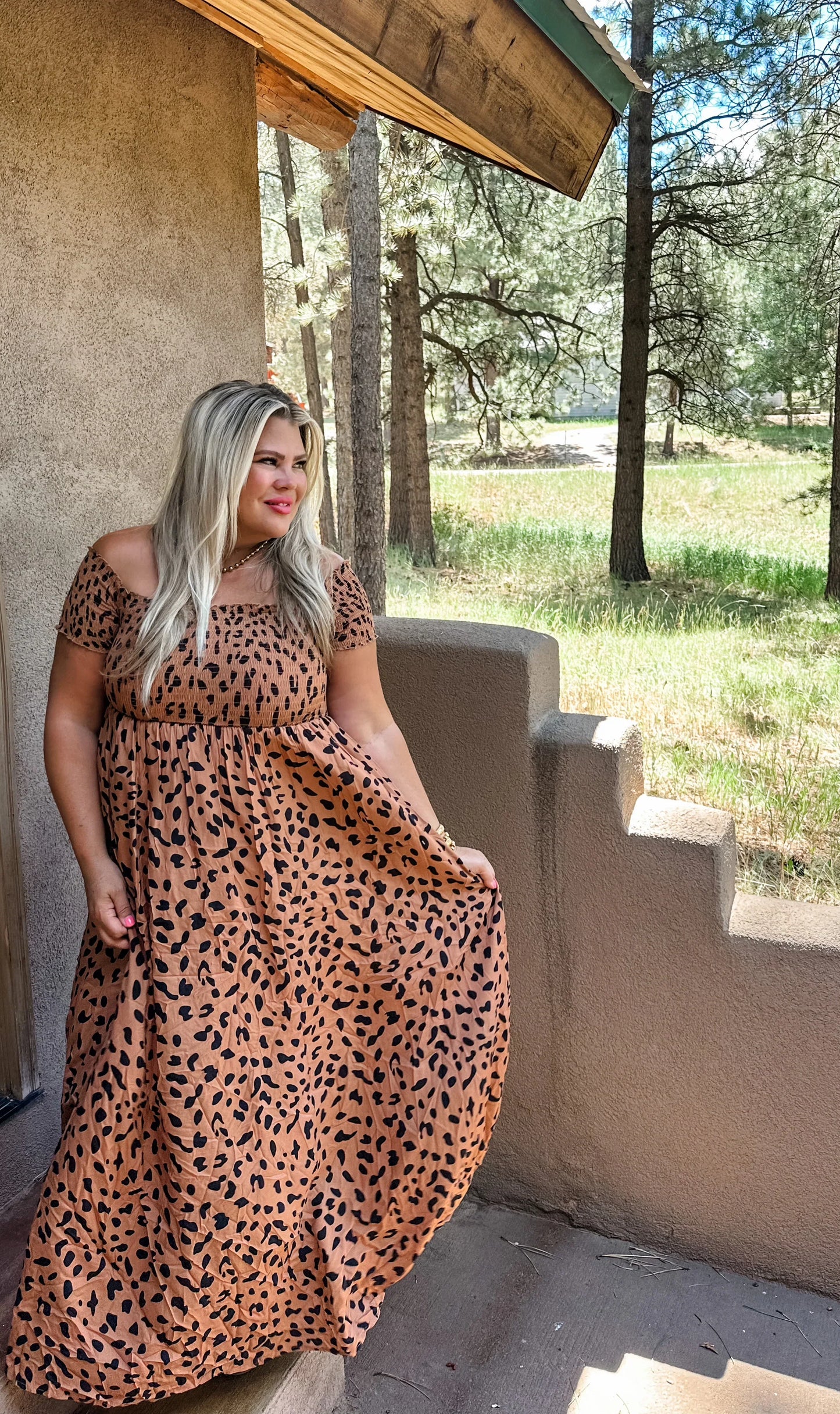 PREORDER: Mika Dress in Two Colors (Ships early/mid October)